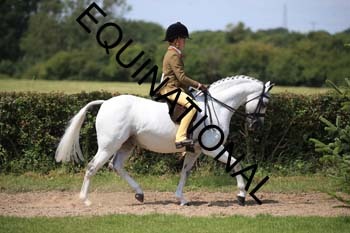 OFF-3351