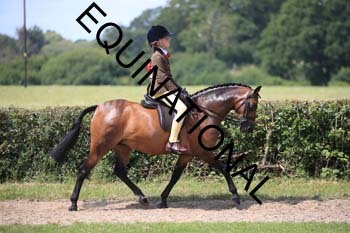 OFF-3355