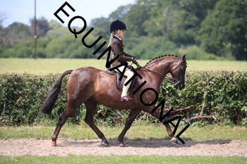 OFF-3358