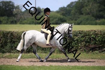 OFF-3361