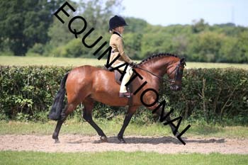 OFF-3369