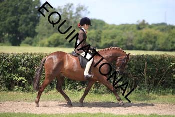 OFF-3371