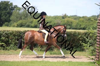 OFF-3377