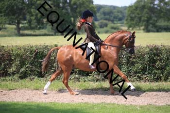 OFF-3394