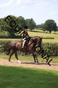 OFF-3397