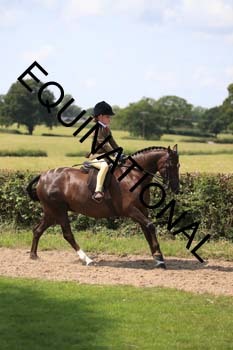OFF-3398