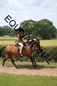 OFF-3399