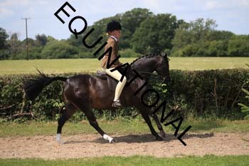 OFF-3402