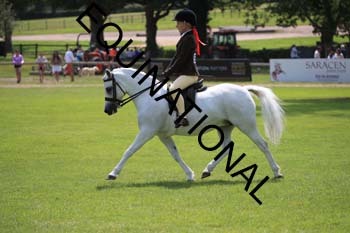 OFF-3417