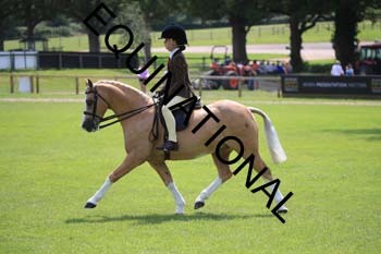 OFF-3423