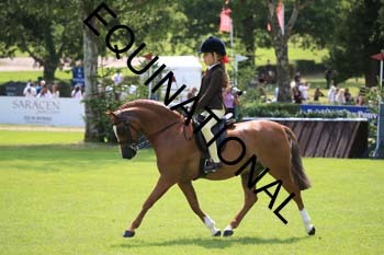 OFF-3425