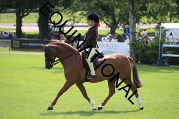 OFF-3426