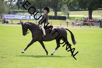 OFF-3440