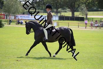 OFF-3442