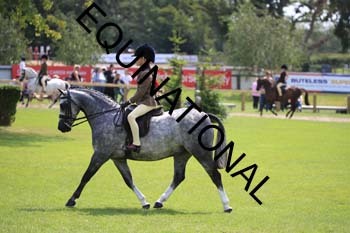 OFF-3447