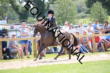 OFF-3449
