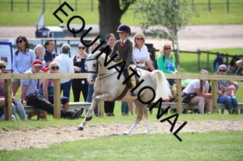 OFF-3454