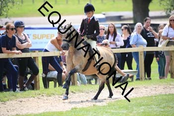 OFF-3466