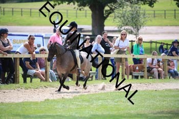 OFF-3469