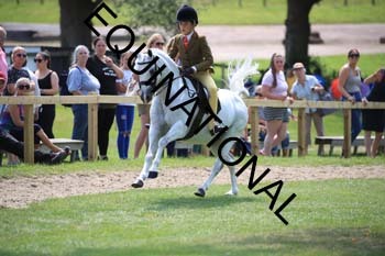OFF-3477