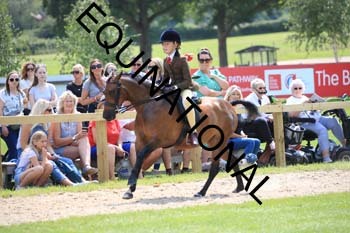 OFF-3483