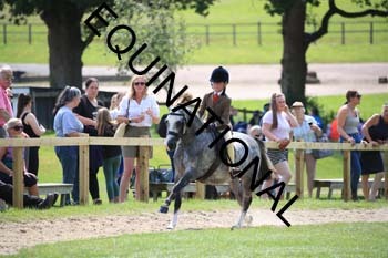OFF-3486