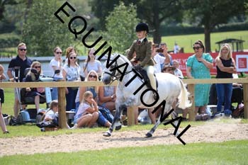 OFF-3492