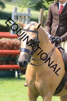 OFF-3526