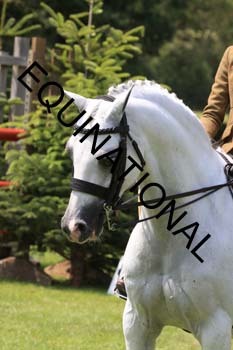 OFF-3538
