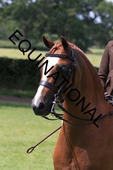 OFF-3545