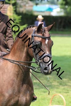 OFF-3591