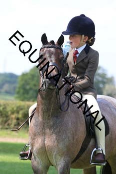 OFF-3594