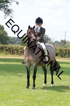 OFF-3597