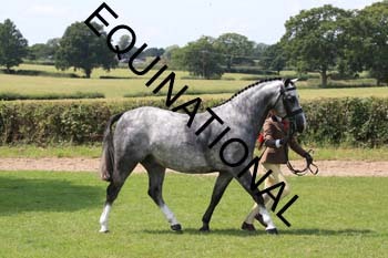 OFF-3602