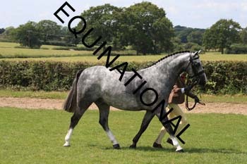 OFF-3603