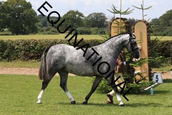 OFF-3604