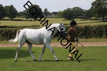 OFF-3619