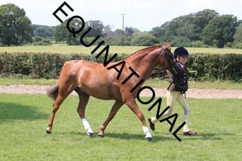 OFF-3634