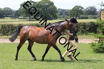 OFF-3645