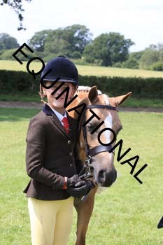OFF-3671