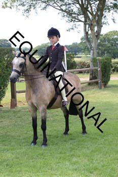 OFF-3741