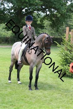 OFF-3761