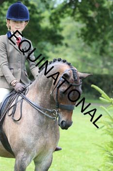 OFF-3762