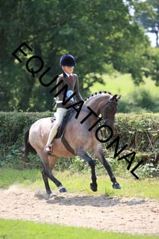 OFF-3848