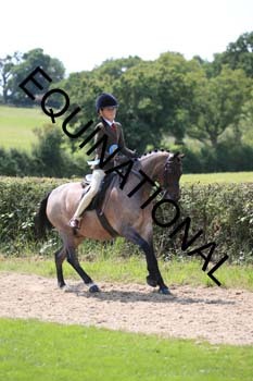 OFF-3849