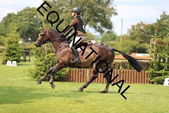 OFF-4038