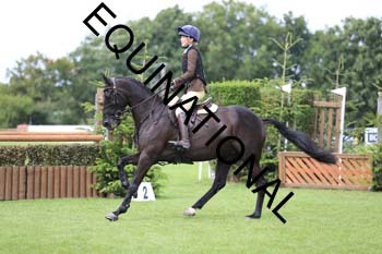 OFF-4054