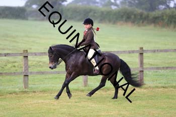 VIK-1276