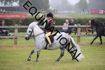 VIK-1593