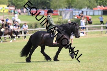 VIK-4243